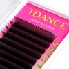TDANCE W Eyelash Extensions 3D Premade Fans W Shaped Volume