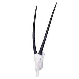 Skullies - Miniature Gemsbok Skull (3D Printed Animal Skull)