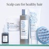 Briogeo Scalp Revival Charcoal + Tea Tree Scalp Treatment, Scalp