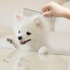 Stainless Steel Pet Grooming Comb with Rounded Ends - Professional