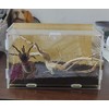AWXZOM Magnetic Acrylic Case, micro habitat small Tarantula Enclosure enclosure