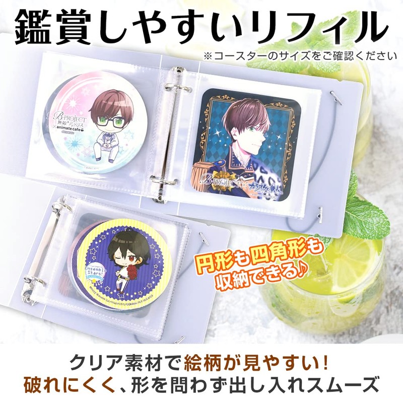 Coaster Storage Files Holds 100 Sheets for Fun (Standard)