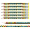 24 Metallic Headteacher's Award Pencils Colourful Pupil Children Rewards Motivational