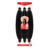 Outre Crochet Braids X-Pression Twisted Up 3X Springy Afro Twist