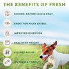 Freshpet Dog Joy Treats for Dogs, Wood Smoked Turkey Bacon,