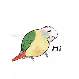 Handmade Green Cheek Conure Stickers (cinnamon) Parrot Sticker