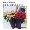 Yamato Plastic Flower Trough totte