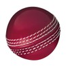 Gunn & Moore GM Cricket Training Ball, Skills Ball, Red,