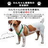 Shiba Inu Harness, Simple, Stylish, Cute, Small Dogs, Medium Dogs,