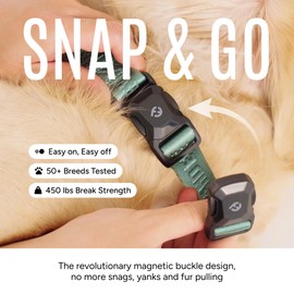 2026 New Edition, Fei & Eve MagEase Dog Collar - Patented Magnetic Buckles | Fur-Safe | Premium 210D Nylon | 450LB Escape-Proof | Adjustable Fit | Large (Glacier Green)