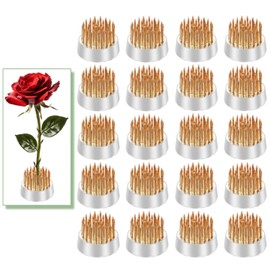 Mini Kenzan Pin Frog 23mm/0.9inch Diameter Floral Ikebana Flower Arranger Holder for Small Vase (20Pcs)