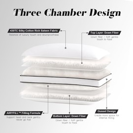 DOWNSTORIA Feather Down Pillows Queen Size Set of 2 with Gusset, Luxury Hotel Collection Bed Pillow 2 Pack, Down Surrounded Gusseted Pillows for Sleeping, Soft for Side, Back Sleepers 20x30 in.