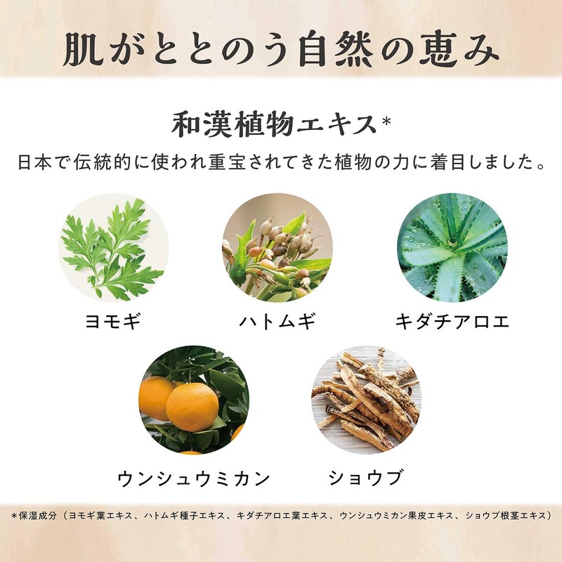 Daily Delight Enjoying Aroma Bath Gift, Forest and Herbs, 1