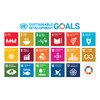 Light SDGs Badges (2-Piece Set) Genuine UN Cloisonne 1.0 inch