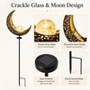 Solar Garden Light for Outdoor Decor – Moon Fairy Crackle