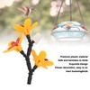 DIY Hummingbird Feeder Bottle Recycling Safe Harmless Bird Feeding Flower