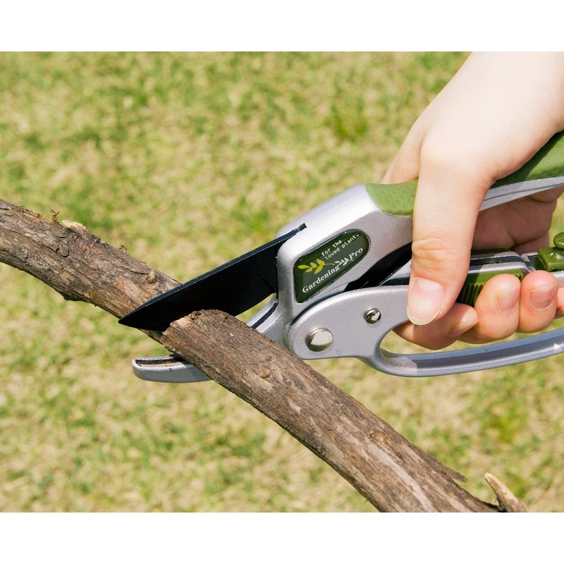 Gardening Pro upgrade pruning-shears SGS-25