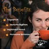 Tum Ease Herbal Tea Bags - Peppermint Tea with Ginger