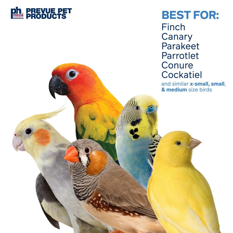 Pervue Pet Products Naturals Forage & Engage Duchess Bird Toy