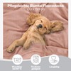 Blumtal Fleece Blanket 130 x 150 cm, Oeko-Tex Certified Cuddly