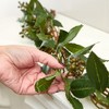 Factory Direct Craft Artificial Honeysuckle Garland for Indoor Decor