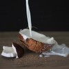 Bamboo Tree Latte di Cocco UHT 17-19% - 400 ml