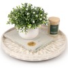 CLAYNIX Mother of Pearl Turntable Organizer - Table & Countertop,