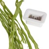 KitchenCraft Runner Bean Slicer, Plastic / Stainless Steel Easy-to-Use Bean