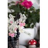 Talking Tables Lot de 12 Pics Alimentaires, Alice Au Pays