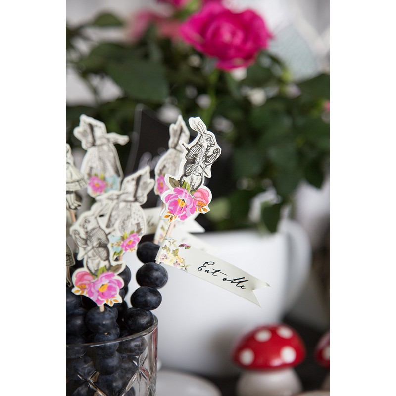 Talking Tables Lot de 12 Pics Alimentaires, Alice Au Pays