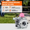 Hipa WT-973 Carburetor for Murray M2500 M2510 Remington RM2510 RM2560