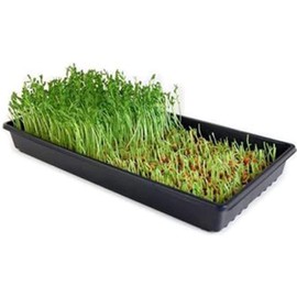 Handy Pantry Microgreens Growing Kit - Grow Micro Greens & Baby Salad - Soil Based Indoor Garden: Sunflower, Buckwheat, Pea & More