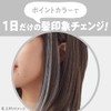 Liese 1-Day Hair Monster, Silver Gray, Point Color, Change Your
