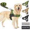Slow Ton No Pull Large Medium Dog Harness and Leash