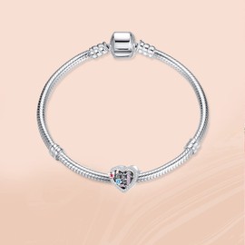 Annmors Charm 925 Sterling Silver Bead Charms 15 16 18 21 30 40 50 60 Years Love Birthday with Cubic Zirconia for European Bracelets and Necklaces, Jewellery Gift for Men and Women, Sterling Silver