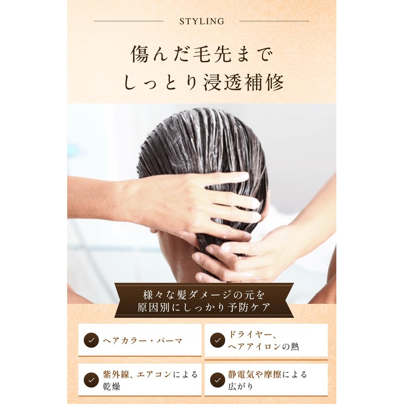 ARGANSPA Hair Mask [Hair Pack, Damage Repair, Beauty Salon, Oriental