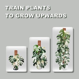 D Shape Sphagnum Moss Pole for Climbing Plants - 6 Pcs 17 Inch Plastic Stackable Plant Support, Designed for Monstera & Indoor Plants with Enhanced Stability