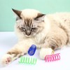 Cat Spring Toys, 80pcs Colorful Cats & Kitten Toys for