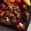 Milk Chocolate Covered Gummy Bears 1 One Pound Bag
