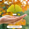 Promise Organic Ginkgo Biloba 120 Capsules, Extra Strength. 120 mg