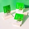 Hanganic Hyaluronic Acid Ampoule Aloe Mask Pack 100 Sheets /