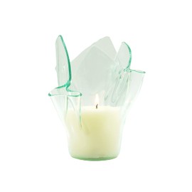 Black Raspberry Vanilla Vase Candle - Blend of Raspberry, Plum, Vanilla. (Clear Vase)