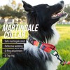Leashboss Martingale Collar for Dogs | Reflective Nylon Dog Collar