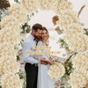 4000+ Dried Babys Breath Flowers Bulk - 17" Ivory White