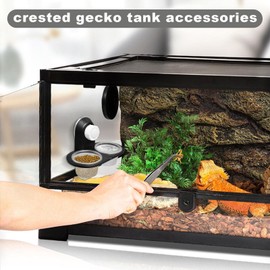 Gecko Food Dish - Reptile Food Bowl Water,with 4 Cups Feeder Accessories Ledge Dispenser for Hermit Crab Chameleons Turtle Frog Lizard Tarantula