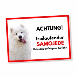Samoyed Freilaufender Dog Sign with Saying Door Sign Dog Sign Warning Sign