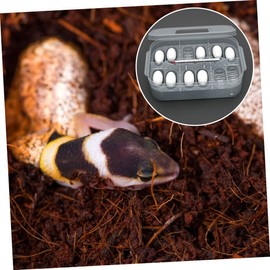 BESPORTBLE Box Reptile Hatching Incubation Box Durable Breeding Container for Snakes Lizards Lightweight and Portable Hatchery Box for Reptile Egg Incubation