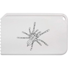 Azeeda 'Hairy Tarantula' Plastic Ice Scraper (IC00039901)