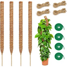 4 Pcs Tutor para Plantas,con 4 Rollo Bridas Cables / 4 Rollo Cuerda de Yute,Poste de Musgo Flexible para Plantas Monstera,60cm Varillas de Musgo Flexibles,Tutor para Plantas Trepadoras,Columpio.