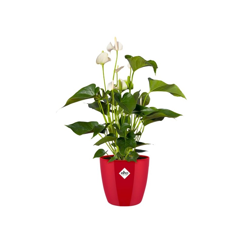 elho Brussels Diamond Round 18 - Flower Pot Indoor -